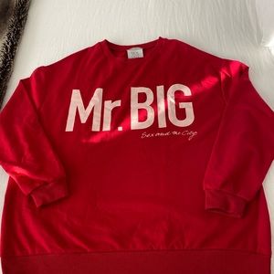 Mr. Big Sex & The City Zara Sweatshirt